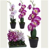  ORHIDEJA 20*10*47CM | Eponuda.ba