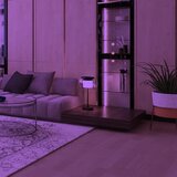 Eglo 99024 - LED RGB prigušiva stona lampa BRIAGLIA-C LED/15W/230V | Eponuda.com