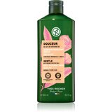 Yves Rocher Douceur nežni šampon with Organic Chestnut Milk 300 ml Cene