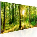  Slika - Green Magic 135x45 | shoptok.hr