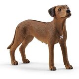 Schleich Pas/ Rodezijski ridžbek | ePonuda.com