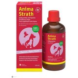 Anima_Strath Sirup 250ml u