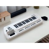  Električni klavir s mikrofonom, igračka za djecu IN0173 | shoptok.hr