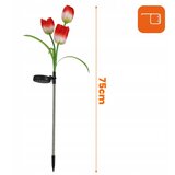  LED RGB solarna dekorativna svetiljka 3xLED/3,7V 200 mAh IP44 tulipán | Eponuda.com