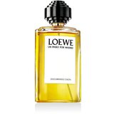 Loewe Un Paseo Por Madrid Descubriendo Colón 100 ml parfemska voda unisex | shoptok.hr