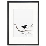 Tablo Center Slika Birdy, 24 x 29 cm Cene