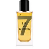 Iceberg Eau de Amber toaletna voda za muškarce 100 ml Cijene