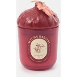 Sinsay Svijeća Autumn Harvest | shoptok.hr