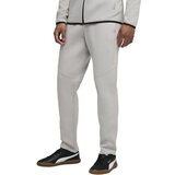 Puma Evostripe Dk pantalone za muškarce, sive Cene