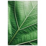  Slika - Malachite Leaf (1 Part) Vertical 20x30 | shoptok.hr