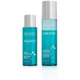 Revlon Equave Pack Hydro Detangling regenerator 200ml i Micelarni šampon 100ml | ePonuda.com
