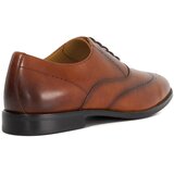 Dune Shaay cipele | Eponuda.com