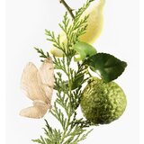 GOUTAL Eau d'Hadrien parfumska voda polnilna za ženske 100 ml | Shoptok.si