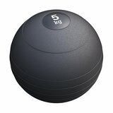  Slam Ball Medicinska lopta (5 kg) Cene