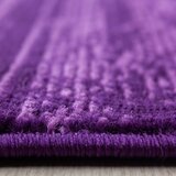 Ayyildiz Carpets Temno vijoličen tekač 80x300 cm Plus – | Shoptok.si