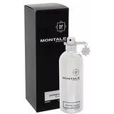 Montale Chypré - Fruité parfemska voda 100 ml unisex