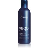 Ziaja Yego vlažilni šampon za moške 300 ml Cene