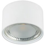 Globo Okrugla stropna LED svjetiljka (12 W, Ø x V: 113 mm x 8 cm, Bijele boje, Prozirno, Topla bijela) | shoptok.hr