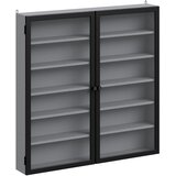 SoBuy Stenska omara z steklenimi vrati Siva 80x12,2x80 cm FSB113-H-DG, (5000345765) Cene