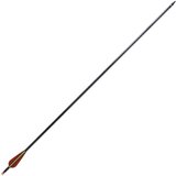 vidaXL puščice iz steklenih vlaken za standardni ukrivljeni lok 30"0,76 cm 12 | Shoptok.si
