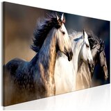  Slika - Sons of the Wind (1 Part) Narrow 150x50 | shoptok.hr