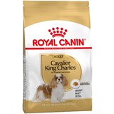 Royal Canin Breed Cavalier King Charles Adult - 7,5 kg | shoptok.hr
