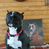 Fotografija na platnu pet portrait General_4 - 75x90 cm