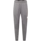 Nike Sportske hlače tamo siva / bijela