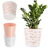 KADAX Vložek za cvetlični lonec iz plastike za rože in rastline 19 cm bež, (5000353076) | Shoptok.si