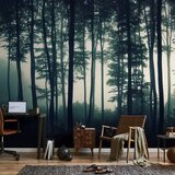  Foto tapeta - Dark Forest 500x350 Standard | shoptok.hr