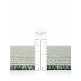 Ted Baker Zelena/kremno bela notranja in zunanja preproga 200x300 cm Haringey Linley – | Shoptok.si