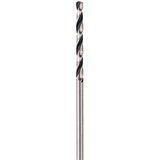 Bosch SVEDER HSS-POINTTEQ 12,0MM, (21254811) Cene
