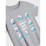 Sinsay Pamučna majica s printom The Smurfs | shoptok.hr