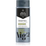 Salt House Dead Sea Men gel za tuširanje za muškarce 3 u 1 250 ml Cijene