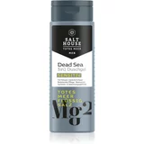 Salt House Dead Sea Men gel za tuširanje za muškarce 3 u 1 250 ml