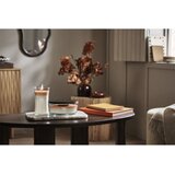 WoodWick Trilogy Café Macchiato mirisna svijeća s drvenim fitiljem 453.6 g | shoptok.hr