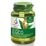 the Verde EGCG