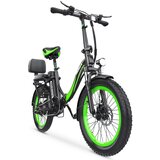 Hidoes HD-C1 električno kolo - 750W motor 48V13AH baterija 20-palčne pnevmatike - zelena, (21618726) Cene