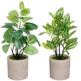 Casa Selección Umetne rastline v kompletu 2 ks (višina 28 cm) – Cene
