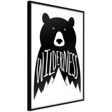  Poster - Wild Bear 40x60 Cijene