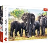 Trefl puzzle slonovi, 1000 kom | shoptok.hr