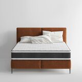 Livetastic LEŽIŠČE Z ŽEPKASTIM VZMETENJE Dark H5 140/220 cm | Shoptok.si