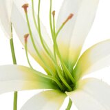 Mömax Lilija Lilie I -Paz- | Shoptok.si