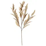 GRANA JADYN 80CM BEŽ BIZZOTTO
