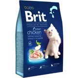 Kitten - Piletina 8kg
