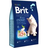Brit Premium by Nature Kitten piščanec | Shoptok.si