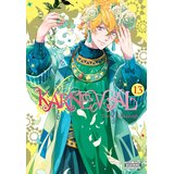 Diamond Comic Distributors Touya Mikanagi - Karneval Omnibus, Vol. 13 | Eponuda.com