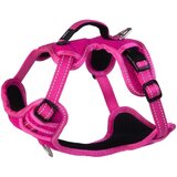 Rogz explore nitelife am za pse s, roze Cene