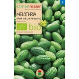 Samen Maier BIO melotrija - Mehiška kumarica Cene