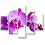  Slike na platnu cveće (moderne slike na platnu) | ePonuda.com